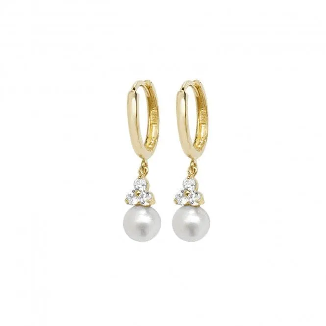 9ct Yellow Gold Freshwater Pearl Drop Earrings ER1133