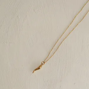 Horn Necklace