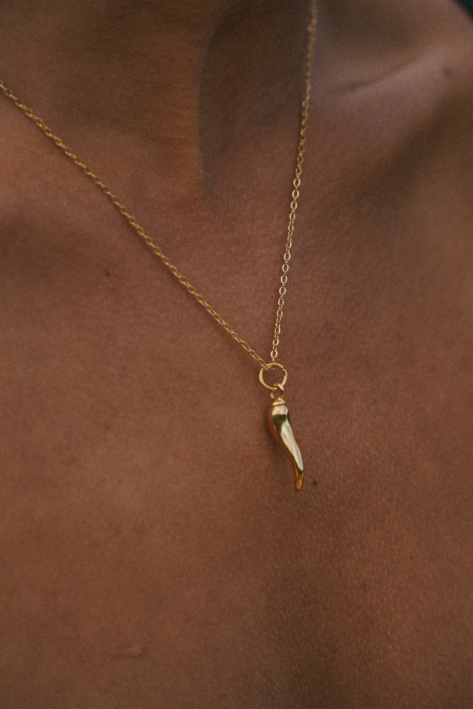 Horn Necklace