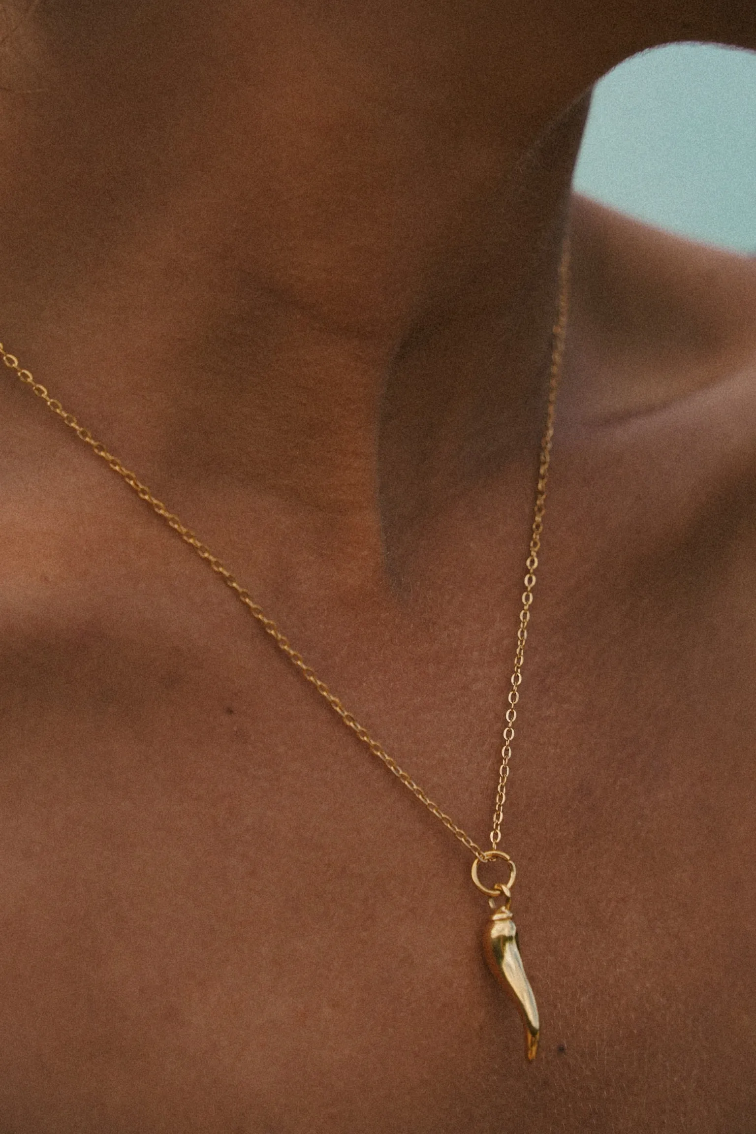 Horn Necklace