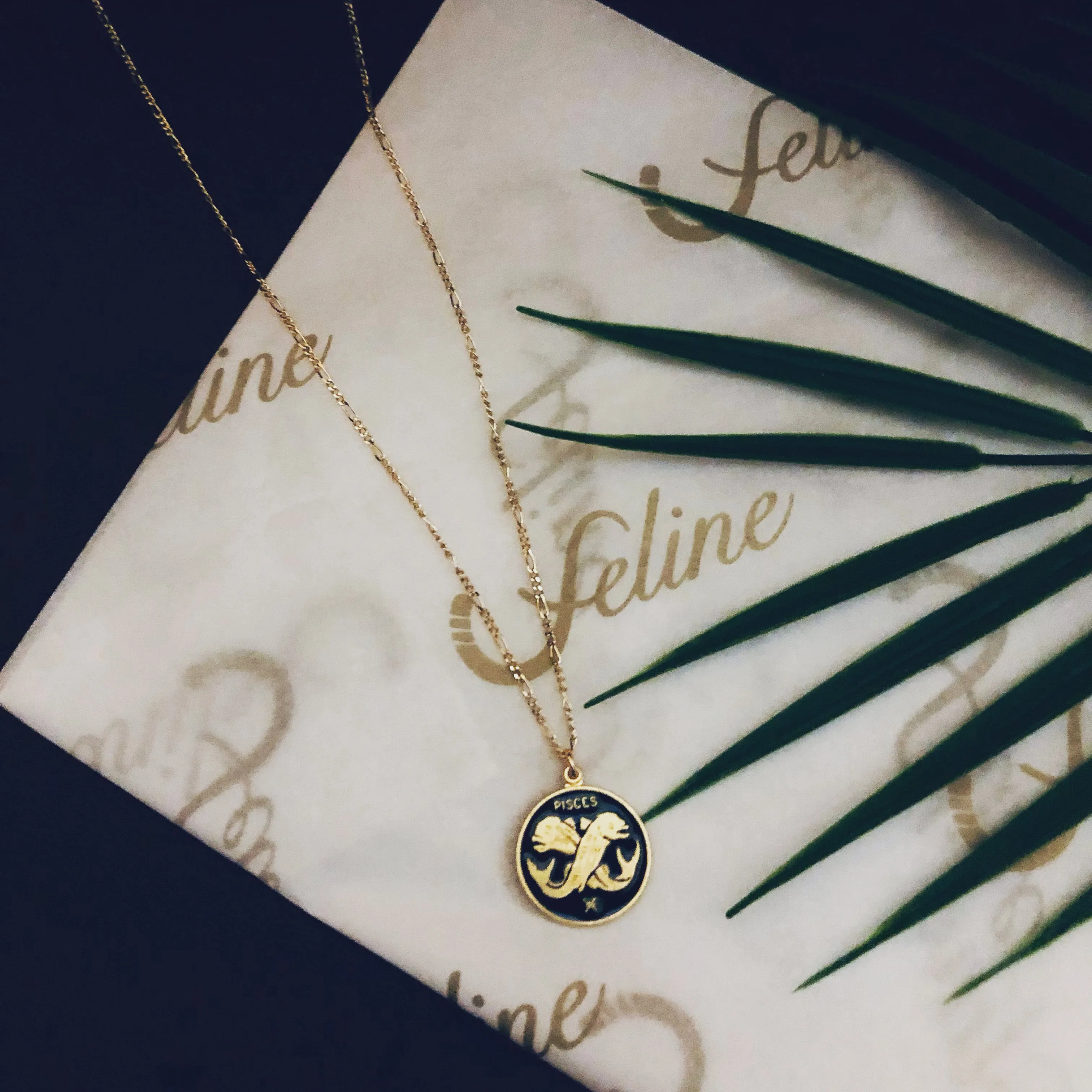 Pisces Horoscope Necklace