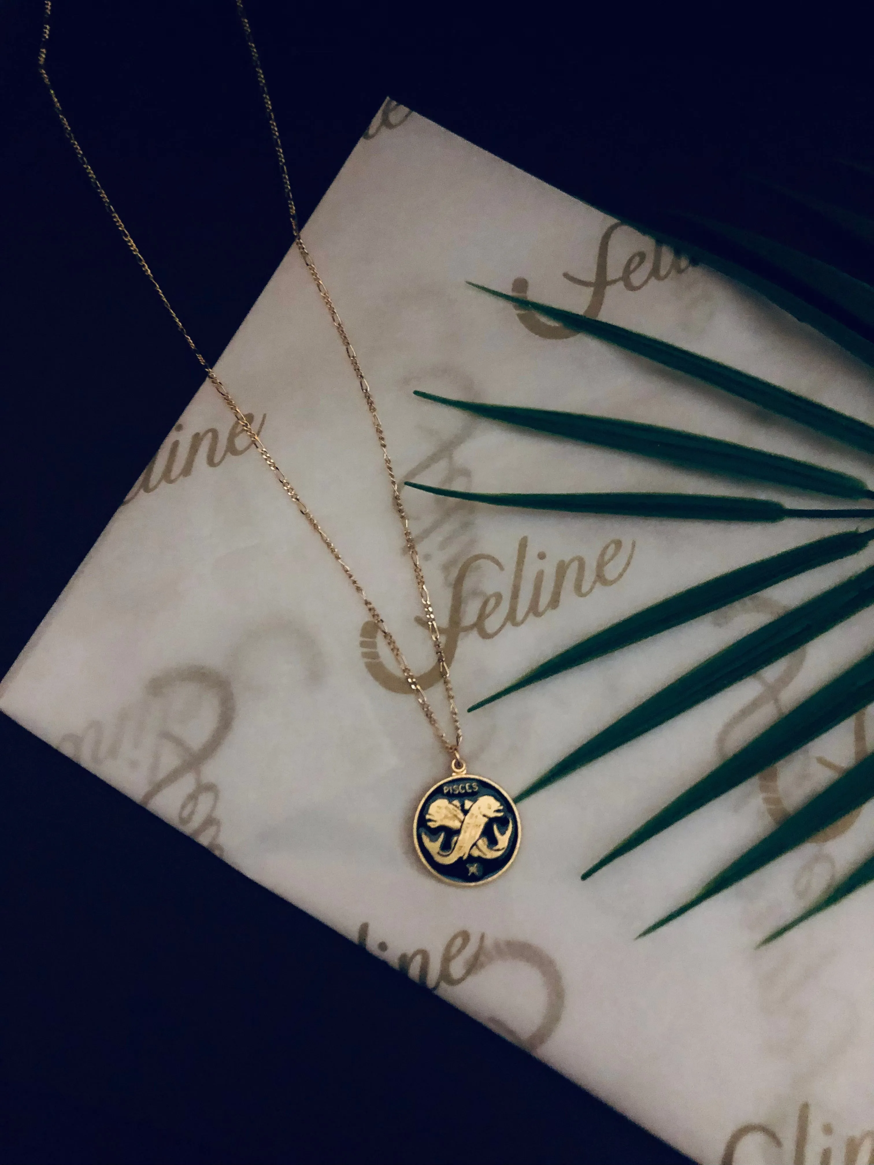 Pisces Horoscope Necklace