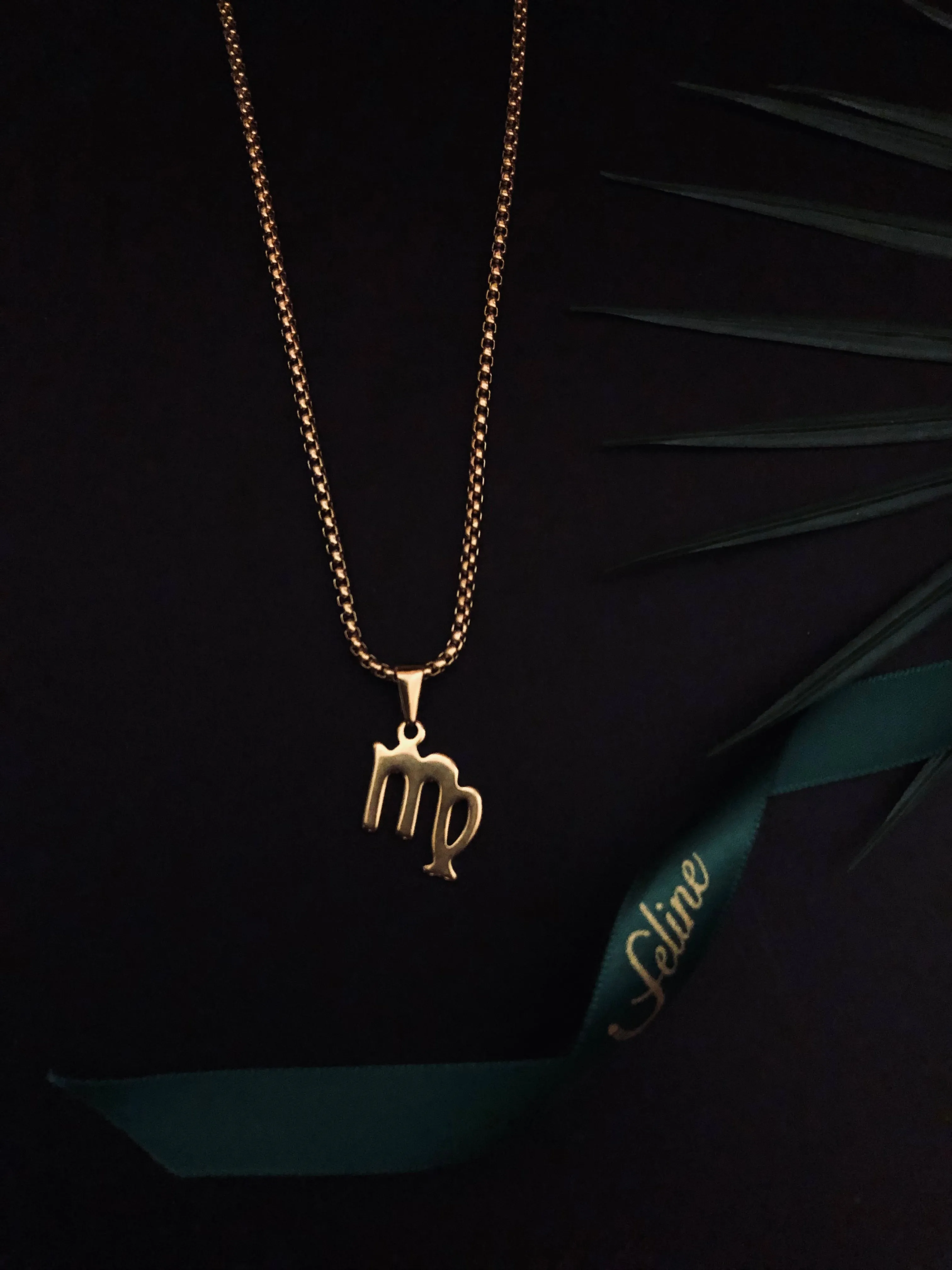 Virgo Flat Horoscope Necklace