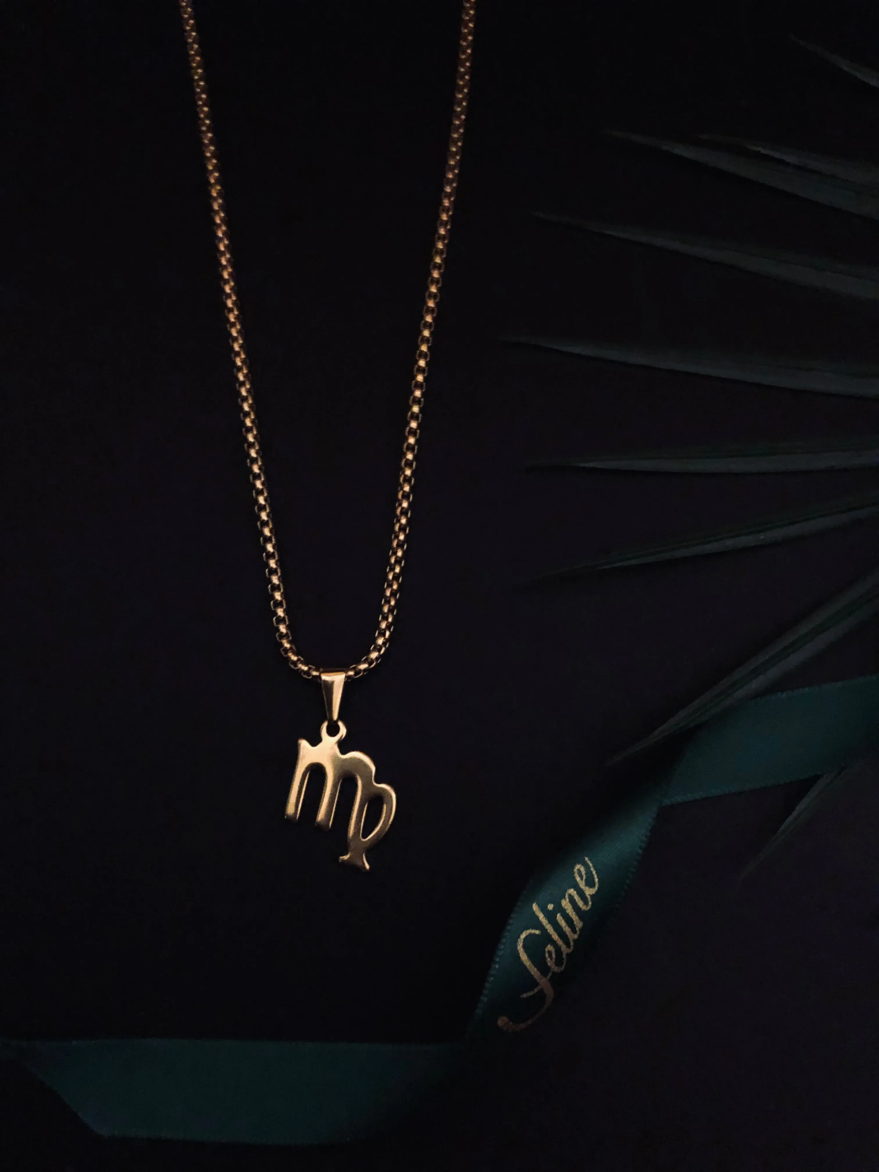 Virgo Flat Horoscope Necklace